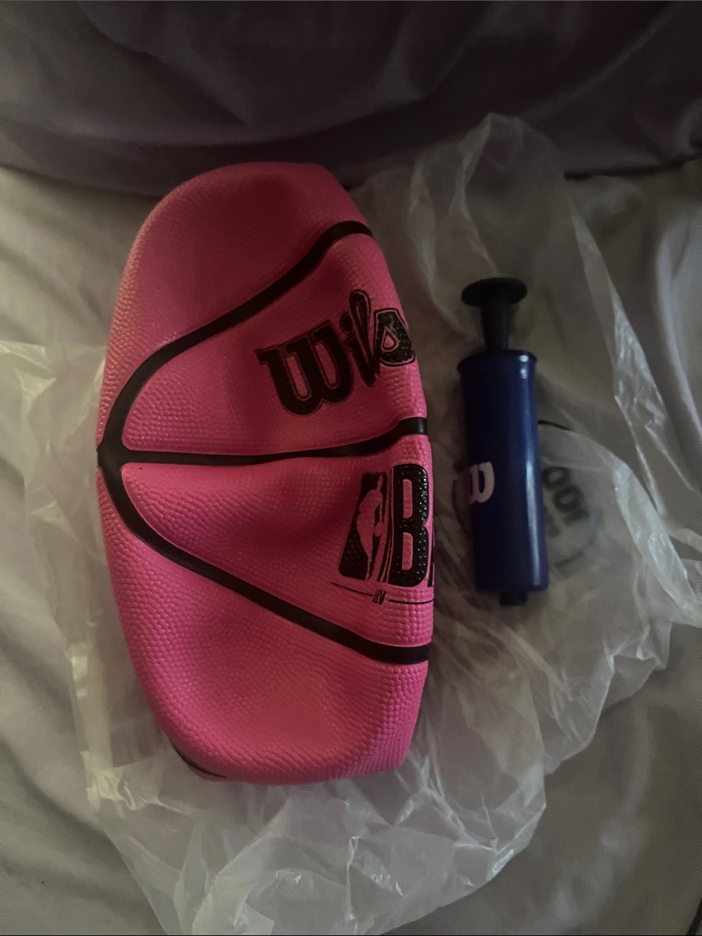 Wilson Pink Mini Basketball with Blue Pump